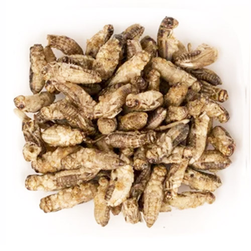 c&ocirc;n tr&ugrave;ng