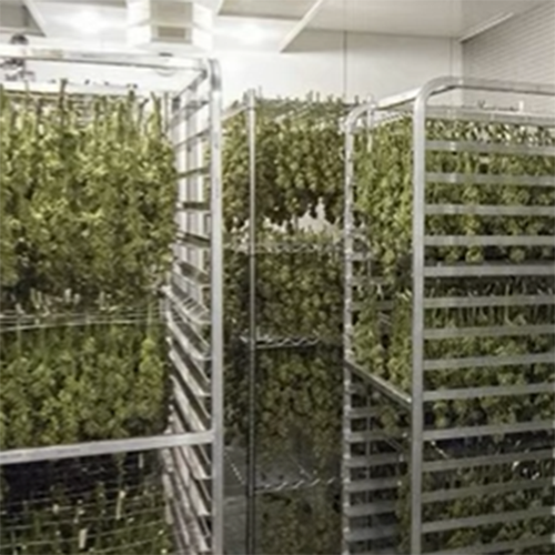 微信图 ảnh_20220701152920