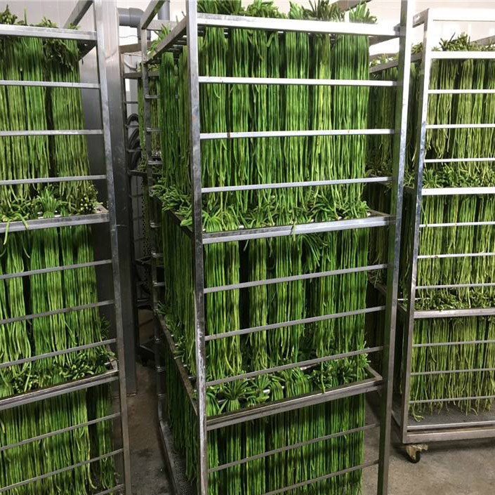 28e437d13e5fa0da7784c379930dcddd